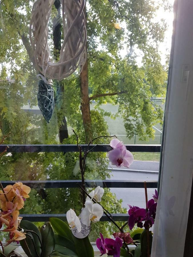 Studio Apartman Zagreb Zapad Vrapce エクステリア 写真